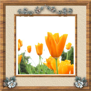 Photo Frame